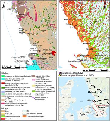 Preliminary strontium isotope (87Sr/86Sr) baselines for the Bjäre Peninsula and Halland in southern Sweden